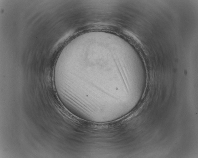 X0000067521403200604281622