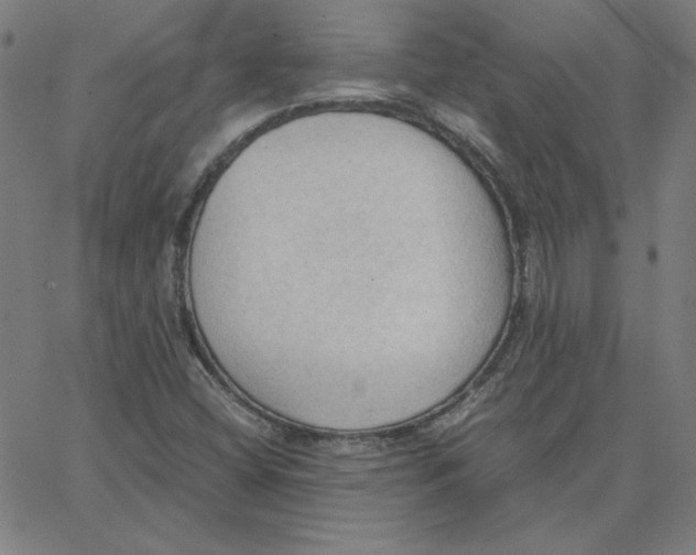 X0000067521404200604281622