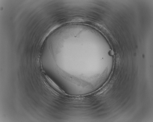 X0000067521409200604281622