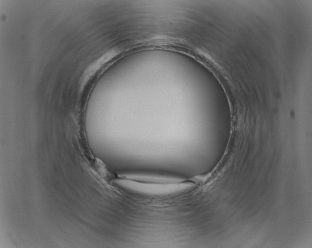 X0000067521410200604281622