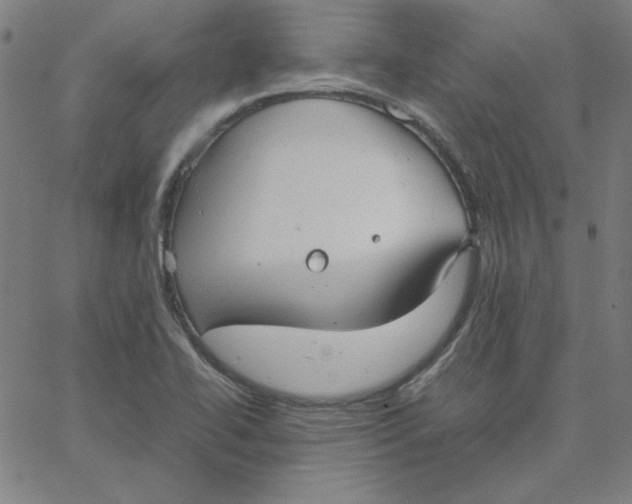 X0000067521414200604281622