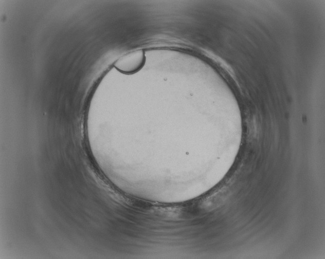 X0000067521415200604281622