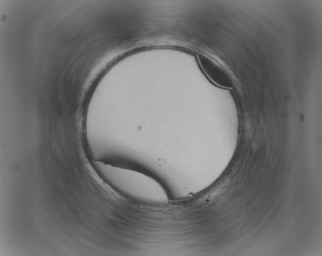 X0000067521416200604281622