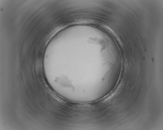 X0000067521417200604281622