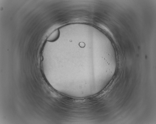 X0000067521419200604281622