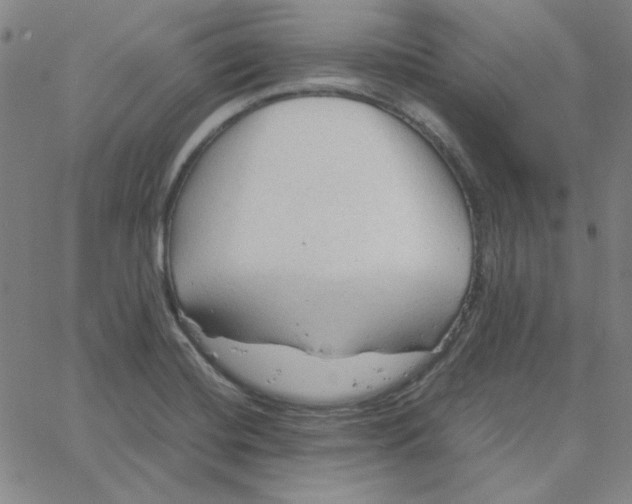 X0000067521420200604281622