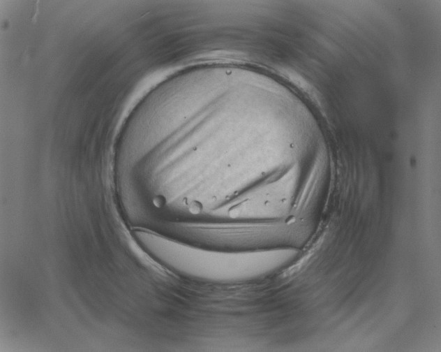 X0000067521421200604281622