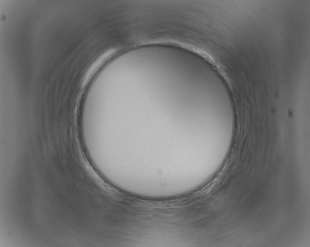 X0000067521422200604281622