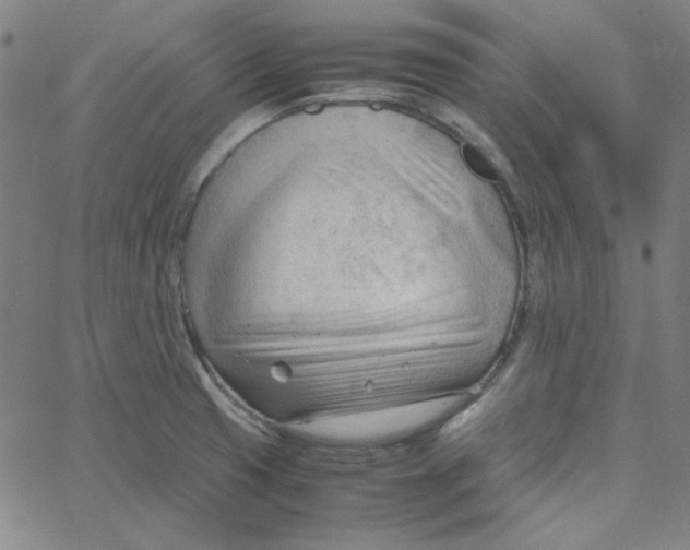 X0000067521425200604281622