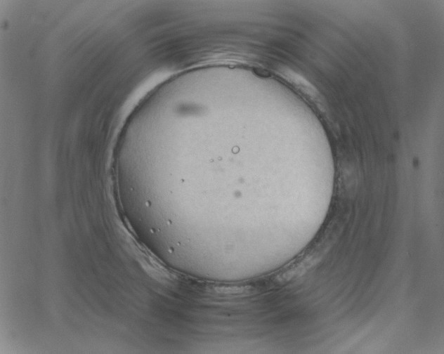 X0000067521427200604281622