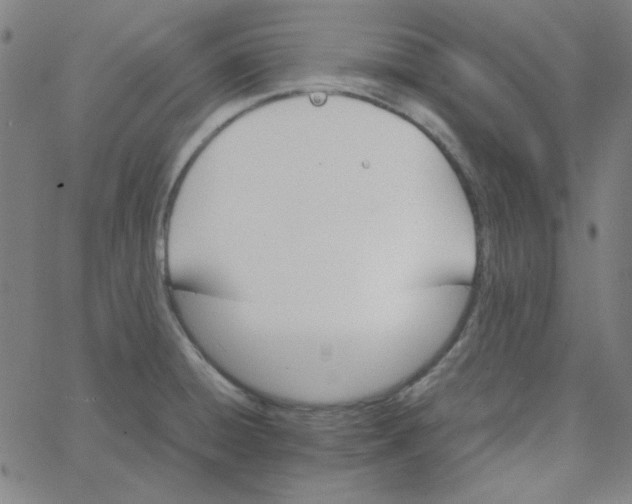 X0000067521428200604281622