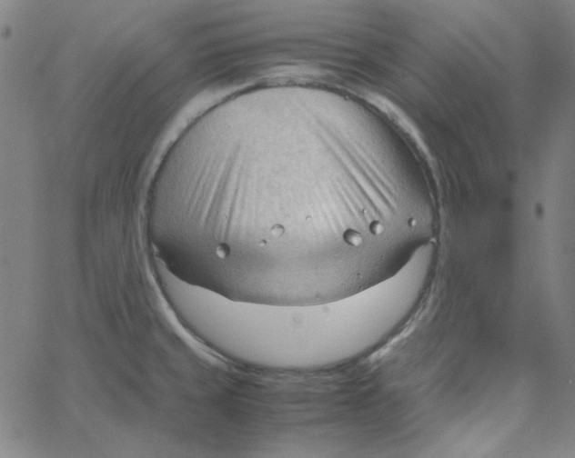 X0000067521429200604281622