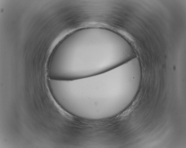 X0000067521430200604281622