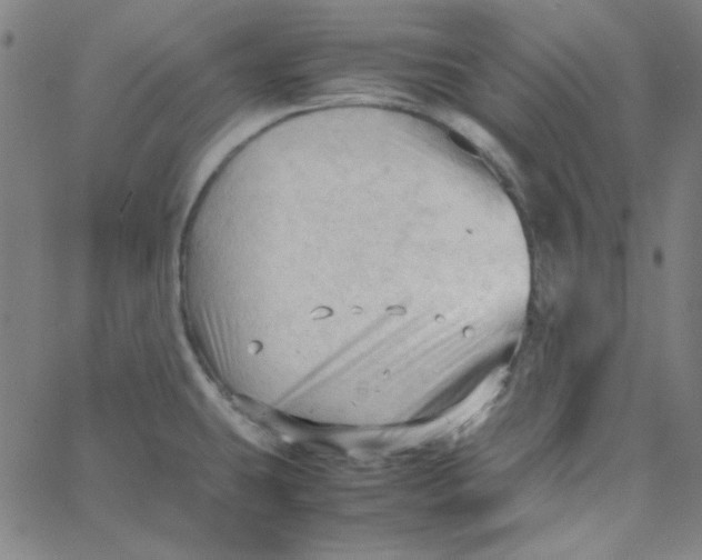 X0000067521431200604281622