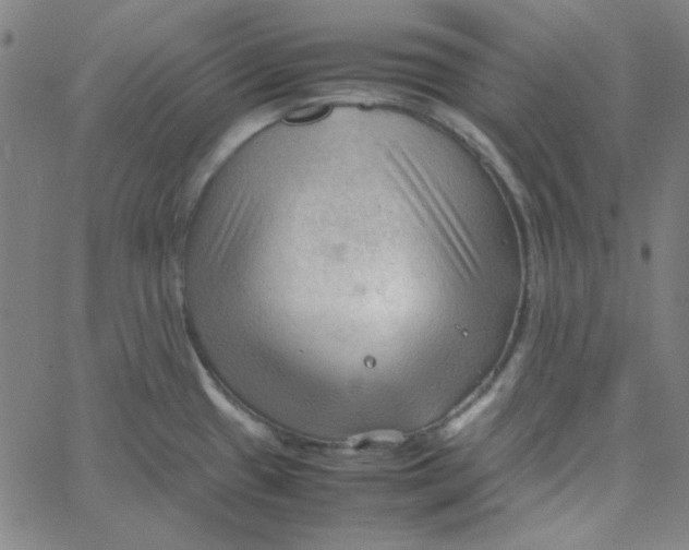 X0000067521433200604281622