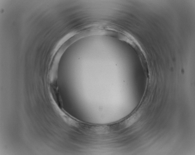 X0000067521434200604281622