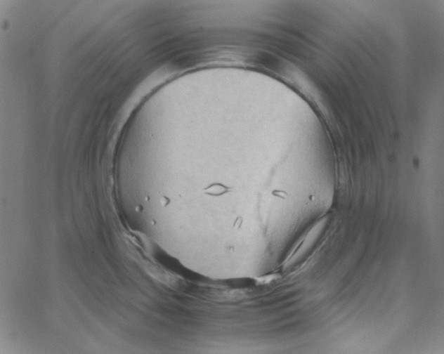 X0000067521435200604281622