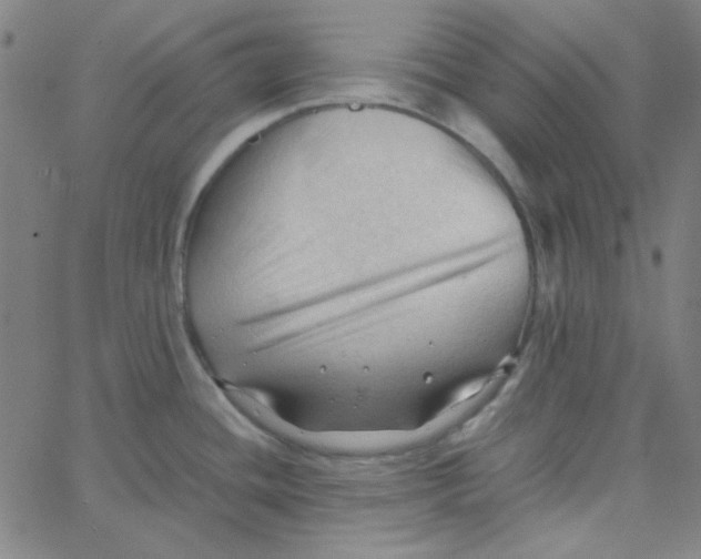 X0000067521436200604281622