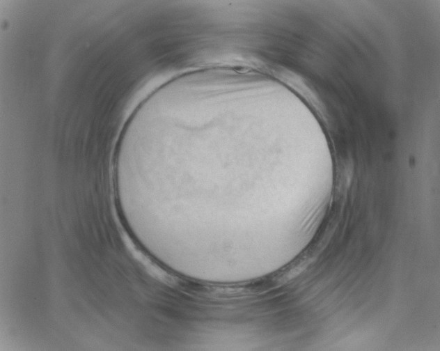 X0000067521439200604281623