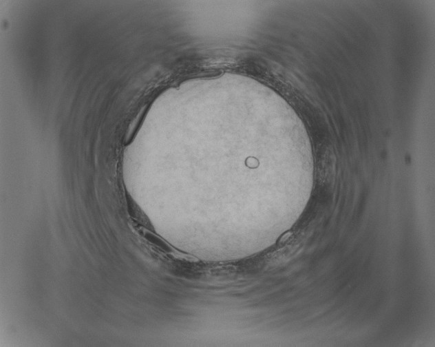 X0000067521441200604281622