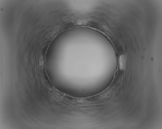 X0000067521443200604281622