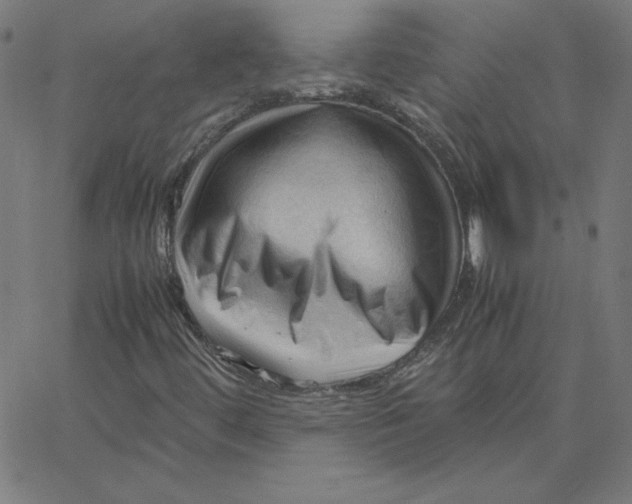 X0000067521444200604281622