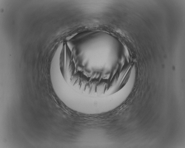 X0000067521445200604281622