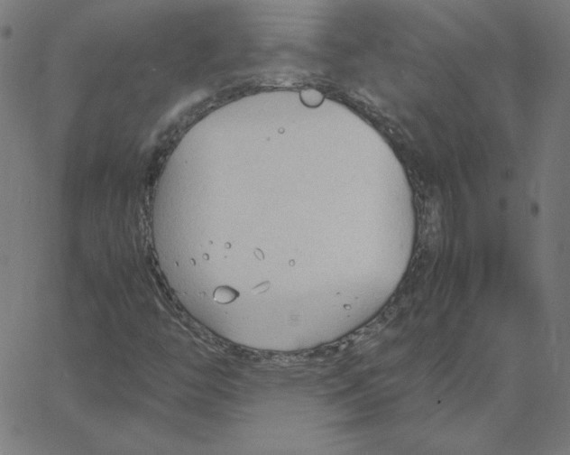 X0000067521446200604281622