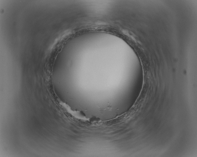 X0000067521447200604281622