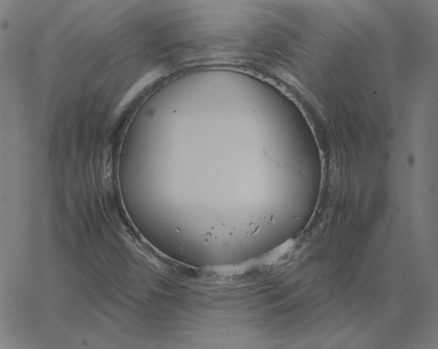 X0000067521450200604281622