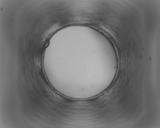 X0000067521451200604281622