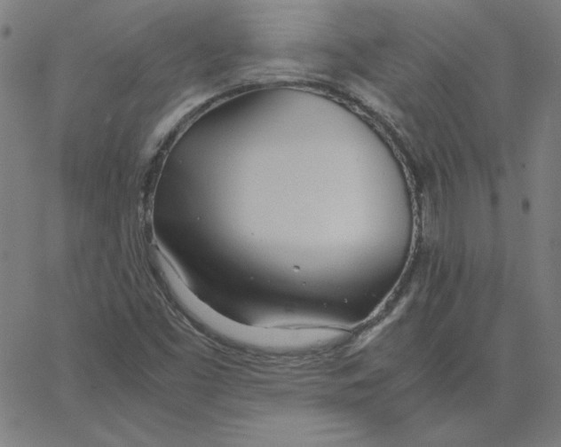 X0000067521453200604281622