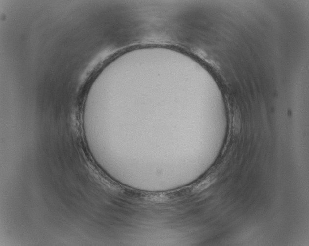 X0000067521454200604281622