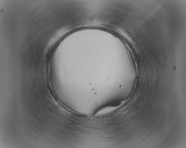 X0000067521456200604281622