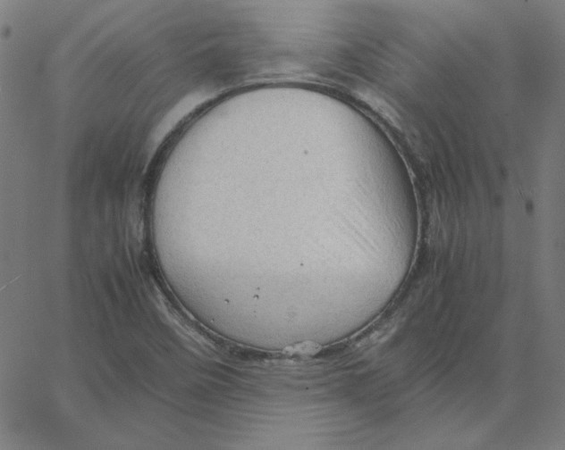 X0000067521458200604281621