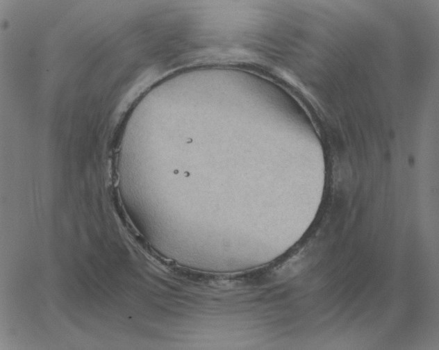 X0000067521459200604281621