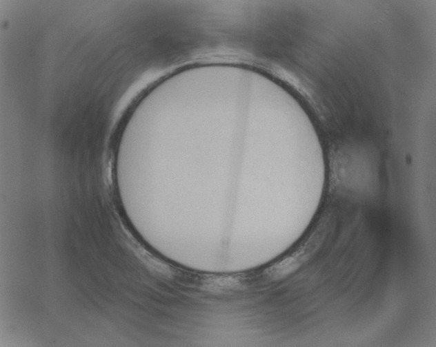 X0000067521462200604281621