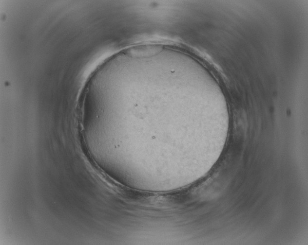 X0000067521463200604281621