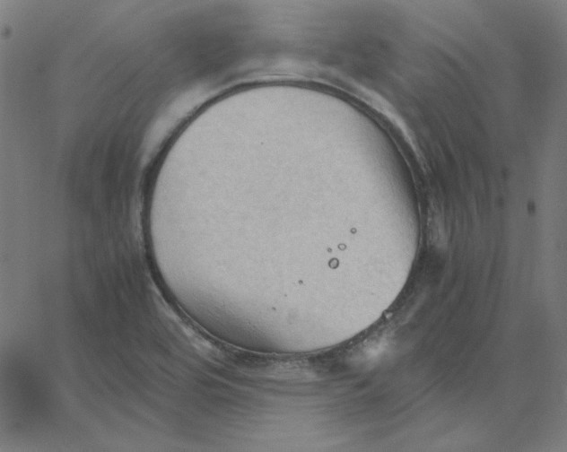 X0000067521464200604281621