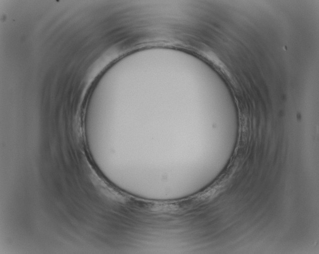 X0000067521466200604281621