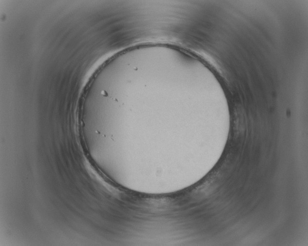 X0000067521468200604281621