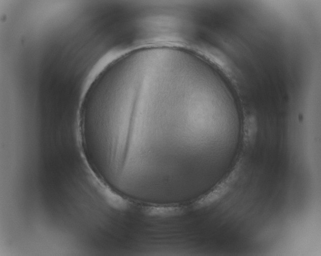 X0000067521470200604281621