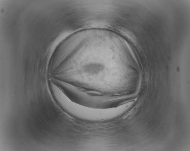 X0000067521471200604281621