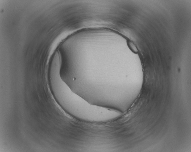 X0000067521472200604281621