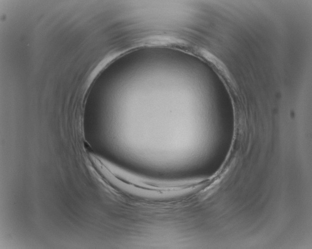 X0000067521473200604281621