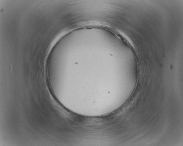 X0000067521475200604281621