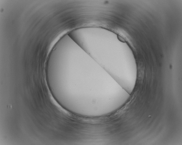 X0000067521476200604281621