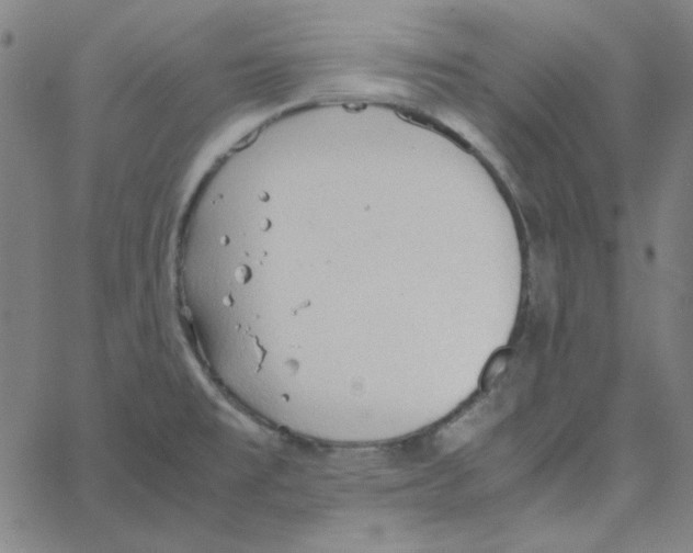 X0000067521477200604281621