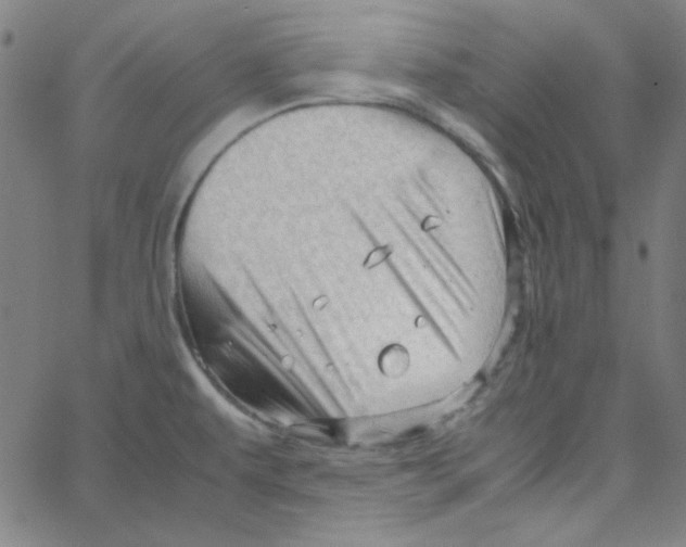 X0000067521479200604281621