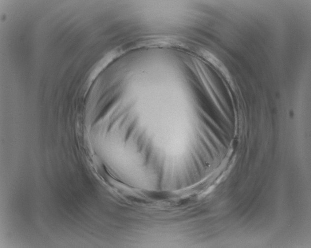 X0000067521481200604281621